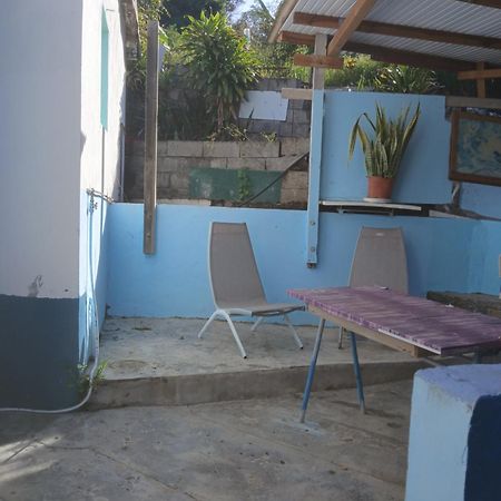 Villa Au Coeur De La Campagne à Vieux-Habitants Extérieur photo